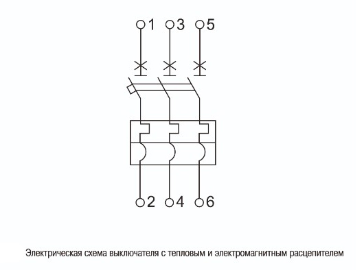 avtomat_iek_master_sva103010002_1.jpg_product