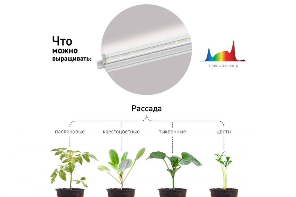 Светильник св/д линейный для растений ЭРА FITO 18W