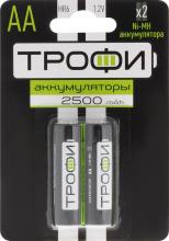 akkumulyator-trofi-r6-2500mah-bl2