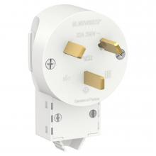 Вилка силовая Schneider Electric Blanca белая 2Р+N 32А 250В