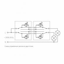 vyklyuchatel-2-kl-werkel-wl01-sw-2g-2w-led